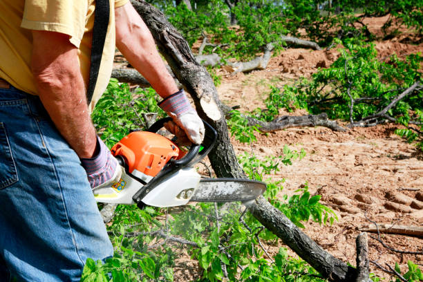 Best Tree Preservation Services  in Mckenzie, TN